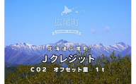 広尾町Ｊ-クレジットCO2削減量　1t【Ｊクレジット　Ｊ－ＶＥＲ　カーボンオフセット　二酸化炭素　排出削減　環境保護　環境保全　森林環境　森林保全　エコ　二酸化炭素吸収　温室効果ガス削減　北海道　ふるさと納税】(0115)