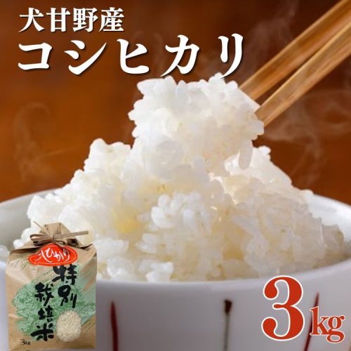令和7年産 犬甘野産 コシヒカリ 3kg 京都丹波 白米 産地直送 人気 2519636 - 京都府亀岡市