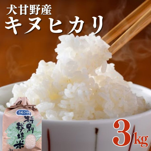 令和7年産 犬甘野産 キヌヒカリ 3kg 京都丹波 白米 産地直送 人気 2519637 - 京都府亀岡市