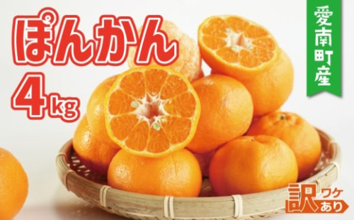 訳あり ポンカン 4kg 7000円 みかん mikan 蜜柑 ミカン ぽんかん 産地直送 国産 農家直送 糖度 期間限定 数量限定 特産品 ゼリー ジュース アイス 等に 人気 限定 甘い フルーツ 果物 健康 美味しい おいしい ジューシー 小玉 含む 規格外 サイズ ミックス 傷み補償 500g ミッチーのおみかん畑 愛南町 愛媛県 2519703 - 愛媛県愛南町