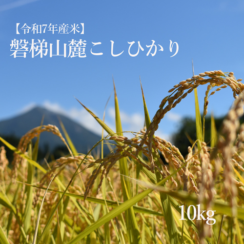 【数量限定】令和7年産コシヒカリ　10kg　磐梯山麓こしひかり　精米　 2519780 - 福島県磐梯町