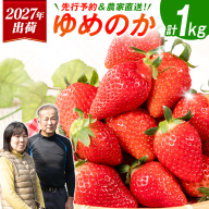 ＜2027年出荷＞先行予約 宮崎県産 いちご「ゆめのか」計1kg（250g×4パック）フルーツ 期間限定 デザート ご褒美【B701】