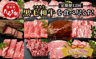 【定期便12回】くまもと 黒毛和牛 を味わい尽くす！1年12回配送 定期便 【合計 9.06kg】本場 熊本 黒毛 和牛 ブランド 牛 肉 すき焼き 焼肉 しゃぶしゃぶ ハンバーグ ステーキ ローストビーフ 上質 熊本 113-0550