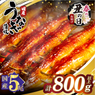 【春の丑の日までにお届け!!】うなぎ蒲焼5尾(さんしょう・たれ付き)計800g以上 鰻 魚 魚介 加工品 国産_T026-0032-US1
