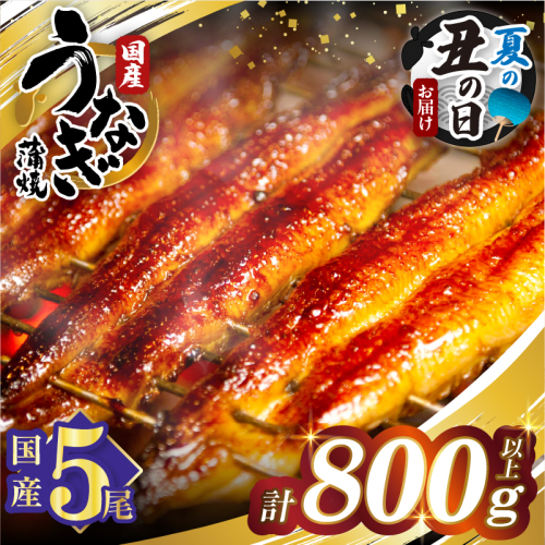 【夏の丑の日までにお届け!!】うなぎ蒲焼5尾(さんしょう・たれ付き)計800g以上 鰻 魚 魚介 加工品 国産_T026-0032-US2 2519993 - 宮崎県都農町