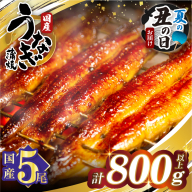 【夏の丑の日までにお届け!!】うなぎ蒲焼5尾(さんしょう・たれ付き)計800g以上 鰻 魚 魚介 加工品 国産_T026-0032-US2
