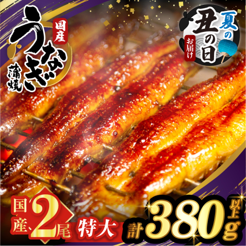【夏の丑の日までにお届け!!】うなぎ蒲焼特大2尾(さんしょう・たれ付き)計380g以上 鰻 魚 魚介 加工品 国産_T026-0065-US2 2519996 - 宮崎県都農町
