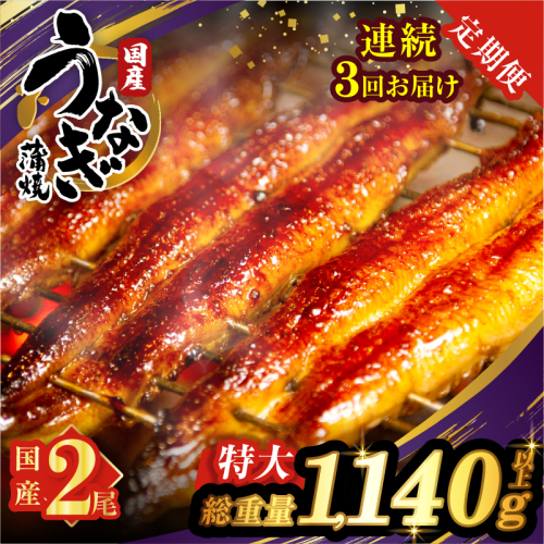 【3回連続定期便】うなぎ蒲焼特大2尾(さんしょう・たれ付き)総重量1140g以上 鰻 魚 魚介 加工品 国産_T026-0061-R 2519997 - 宮崎県都農町