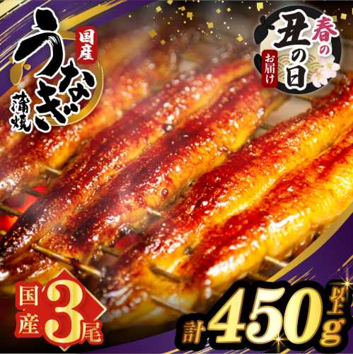 【春の丑の日までにお届け!!】うなぎ蒲焼3尾(さんしょう・たれ付き)計450g以上 鰻 魚 魚介 加工品 国産_T026-014-US1 2519999 - 宮崎県都農町