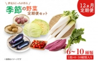 CN-8 【12ヶ月定期便】 夢見るじっちが作る季節の野菜セット 6～10種類入り1箱
