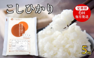 令和7年産コシヒカリ 5kg  定期便6回(毎月発送)
