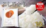 令和7年産コシヒカリ 10kg  定期便12回(毎月発送)
