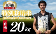 【先行予約】令和8年産 コシヒカリ 白米 20kg 特別栽培米 こしひかり 米 お米 こめ 新潟米 新潟県産 新潟産 新潟 新潟県 新発田産 新発田 新発田市 斗伸 toushin027_R8