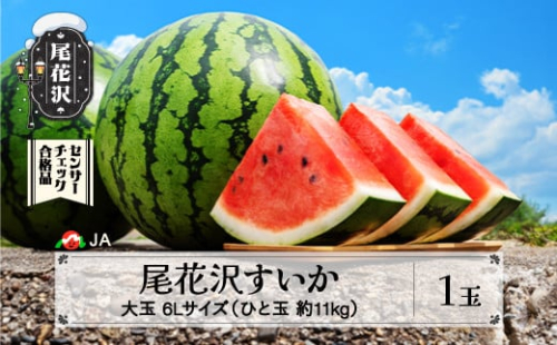 先行予約 尾花沢すいか 6Lサイズ 約11㎏×1玉 8月1日～8月10日頃発送 2025年産 令和7年産 大玉 すいか スイカ 西瓜 果物 フルーツ 産地直送 山形県 尾花沢市 JA ja-su6xx1