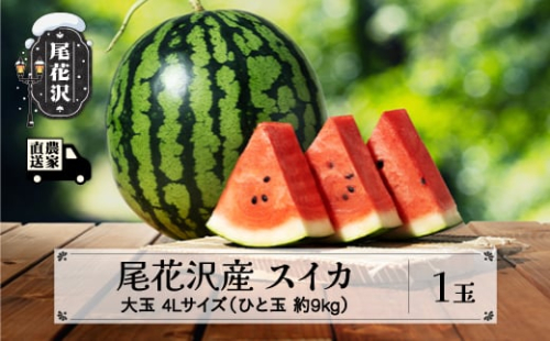 先行予約 尾花沢産スイカ 4Lサイズ 約9㎏×1玉 7月下旬～8月中旬頃発送 令和7年産 先行予約 観光物産 kb-su4xx1