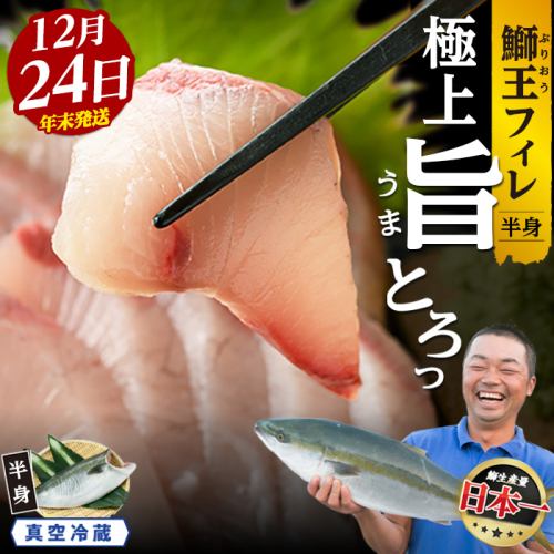 ＼年末発送 先行予約／＜数量限定＞【2026年12月24日発送】『旅サラダ』で紹介ぶりの王様「 鰤王 」 フィレ 半身 (約1.2kg～・フィレ1枚) 産地直送 新鮮 旨味が抜群の 長島町 特産品 ブランド ぶり 鰤 ブリ 切り身 真空 冷蔵 刺身 ぶりしゃぶ しゃぶしゃぶ 魚 魚介 人気 ランキング 年末年始発送 【JFA】jfa-7006-24 2520691 - 鹿児島県長島町