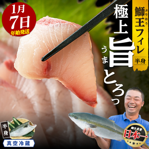 【期間限定特別寄附額】＼年始発送 先行予約／＜数量限定＞【2027年1月7日発送】『旅サラダ』で紹介ぶりの王様「 鰤王 」 フィレ 半身 (約1.2kg～・フィレ1枚) 産地直送 新鮮 旨味が抜群の 長島町 特産品 ブランド ぶり 鰤 ブリ 切り身 真空 冷蔵 刺身 ぶりしゃぶ しゃぶしゃぶ 魚 魚介 人気 ランキング 年末年始発送 【JFA】jfa-1630-07 2520702 - 鹿児島県長島町