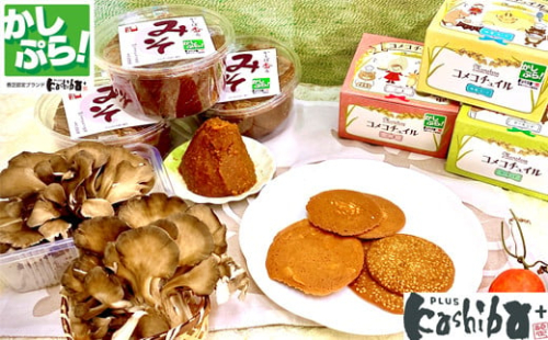 香芝市地域ブランドKASHIBA+(カシバプラス) 認定品3点セット (コメコチュイル、大和マイタケ(舞茸)、かしば香るみそ (味噌)) [3254] 2520836 - 奈良県香芝市