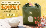 [茶(オリジナル手提げ箱)]とくべつの中のとくべつ 特別栽培米 5kg 夢つくし 吉富町/(株)やました [BGBX005-1] 米 こめ コメ 白米 はくまい ご飯 ごはん ライス らいす ギフト 贈り物 贈答 国産 おすすめ 精米 白米 お米 ライス ごはん 米 こめ ご飯 国産
