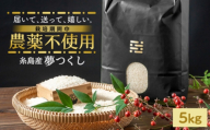 [茶(オリジナル手提げ箱)]農薬を使わずに育てた 山つき 5kg 夢つくし 吉富町/(株)やました [BGBX013-1] 米 こめ コメ 白米 はくまい ご飯 ごはん ライス らいす ギフト 贈り物 贈答 国産 おすすめ 精米 白米 お米 ライス ごはん 米 こめ ご飯 国産