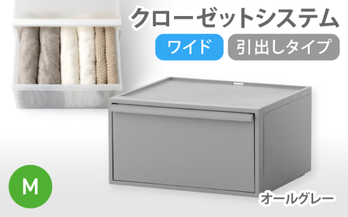 クローゼットシステム ワイド引出し（M） CS-WD2 オールグレー  (5色からお好きなカラーが選べる)  ／ クローゼット 収納 組み合わせ 引出し ライクイット like-it 奈良県 葛城市【like024-2】 2520885 - 奈良県葛城市