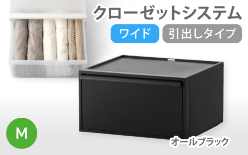 クローゼットシステム ワイド引出し（M） CS-WD2 オールブラック (5色からお好きなカラーが選べる)  ／ クローゼット 収納 組み合わせ 引出し ライクイット like-it 奈良県 葛城市【like024-3】 2520887 - 奈良県葛城市