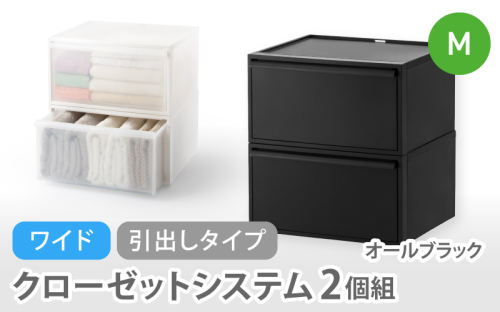 クローゼットシステム ワイド引出し（M）2個組 CS-WD2 2P オールブラック (5色からお好きなカラーが選べる)  ／  クローゼット 収納 組み合わせ 引出し ライクイット like-it 奈良県 葛城市【like025-3A】 2520897 - 奈良県葛城市
