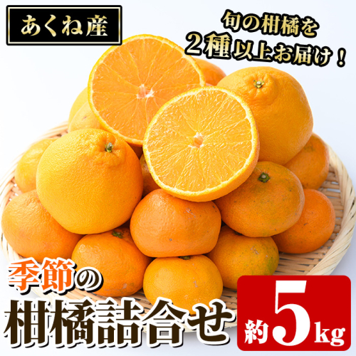 ＜先行予約受付中！2026年12月上旬以降順次発送予定＞竹ん子山の季節の柑橘詰め合わせ(約5kg) 国産 鹿児島県産 阿久根産 柑橘 果物 温州みかん ミカン 蜜柑 ボンタン ぼんたん 文旦 しらぬい しらぬひ 不知火 サワーポメロ フルーツ 果実 期間限定 セット 詰合せ バラエティ 【竹ん子山】akn097-13 2521028 - 鹿児島県阿久根市