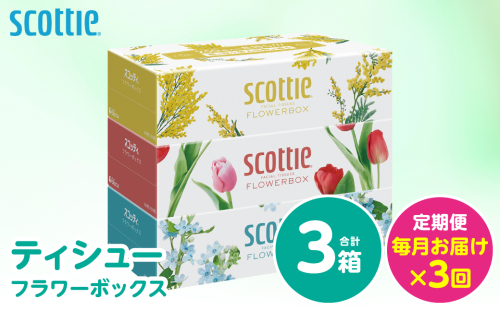 【定期便3回】【毎月お届け】【スコッティ】 ティシュー フラワーボックス 250組 3箱 計9箱 ティッシュ 日用品 生活必需品 消耗品 紙 備蓄 防災備蓄 ストック デザインボックス 新生活 防災 生活用品 日用消耗品 箱ティッシュ 熊本県 八代市 2521029 - 熊本県八代市