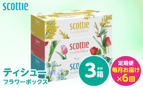 【定期便6回】【毎月お届け】【スコッティ】 ティシュー フラワーボックス 250組 3箱 計18箱 ティッシュ 日用品 生活必需品 消耗品 紙 備蓄 防災備蓄 ストック デザインボックス 新生活 防災 生活用品 日用消耗品 箱ティッシュ 熊本県 八代市 2521030 - 熊本県八代市