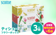 【定期便6回】【毎月お届け】【スコッティ】 ティシュー フラワーボックス 250組 3箱 計18箱 ティッシュ 日用品 生活必需品 消耗品 紙 備蓄 防災備蓄 ストック デザインボックス 新生活 防災 生活用品 日用消耗品 箱ティッシュ 熊本県 八代市