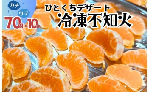 冷凍 不知火 （しらぬい） 70g × 10袋 ひとくちデザート カチウマ スイーツ 果物 旬の味わい 和歌山県産不知火100% 2521082 - 和歌山県有田川町