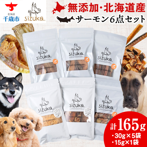 サーモン6点セット 2521125 - 北海道千歳市