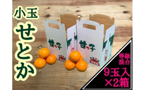 ［2箱セット］甘っ子 小玉 ハウス せとか 9玉入 × 2箱 手さげ箱 南泰園 2521130 - 和歌山県有田川町
