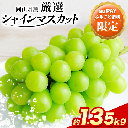 【au PAY ふるさと納税限定】シャインマスカット ご家庭用 約 1.35kg 2房 ≪2026年9月上旬-11月上旬頃に出荷≫ 訳あり シャイン マスカット 岡山 2521280 - 岡山県浅口市