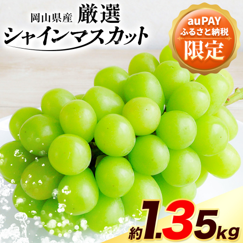 【三太郎の日限定】ご家庭用 訳あり 岡山県産 厳選 シャインマスカット 約 1.35kg 2房 ≪2026年9月上旬-11月上旬頃に出荷≫  シャイン マスカット 岡山 浅口市  2521280 - 岡山県浅口市