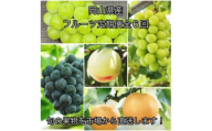 ＜発送月固定定期便＞岡山県産  フルーツ定期便全6回_フルーツ 定期便 旬 果物 食べ比べ 岡山県 津山市 デザート 葡萄 ぶどう 桃 もも シャインマスカット 送料無料 贈答 ギフト【4078581】