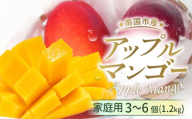 家庭用アップルマンゴー 1.2kg（2026年6月～発送）| 高知県産 マンゴー アップルマンゴー フルーツ 果物 厳選 人気 デザート 贈り物 くだもの 旬 お取り寄せ 訳アリマンゴー 甘い 訳あり 産地直送マンゴー 万円 西島園芸団地 高知県 南国市