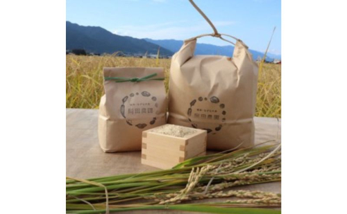 栽培期間中　農薬・化学肥料不使用で育てたお米/コシヒカリ/米/玄米/5キロ 2521845 - 岐阜県海津市