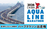 ちばアクアラインマラソン2026　ハーフマラソン 出走権（富津市ふるさと納税枠）　ちばアクアラインマラソン 2026 アクアライン マラソン ハーフ 出走権 CHIBA AQUALINE MARATHON 令和8年 ランナー イベント 体験 プロテイン ホエイ VALX 海苔 のり 焼きのり 千葉県 富津市