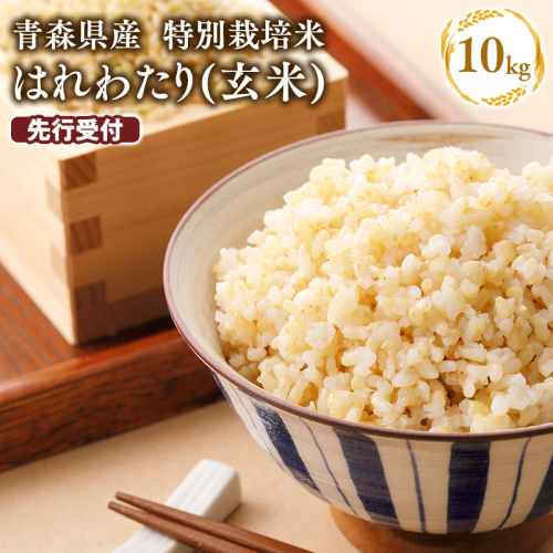 【寄付金額を見直しました】≪令和8年産 先行予約≫11月中旬よりお届け! 　特別栽培米 はれわたり玄米10kg【青森県 平川市】先行予約 米 お米 玄米 青森県産 産地直送 おにぎり 朝ご飯 冷めてもおいしい ご飯  コメ こめ 白米 ごはん ブランド米 特A 特A米 お取り寄せ グルメ 2522279 - 青森県平川市