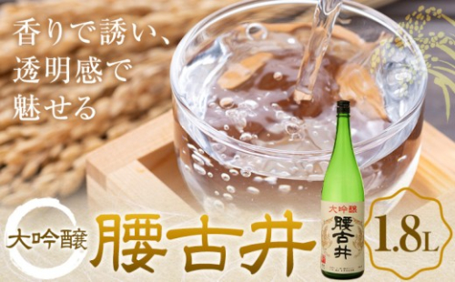 腰古井 大吟醸 1.8L 1本 有限会社 滝口商店《30日以内に出荷予定(土日祝除く)》千葉県 勝浦市 日本酒 酒 大吟醸 2522336 - 千葉県勝浦市