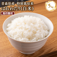 ≪令和8年産 先行予約≫11月中旬よりお届け! 特別栽培米 はれわたり白米5kg[青森県 平川市]先行予約 米 お米 精米 青森県産 産地直送 おにぎり 朝ご飯 冷めてもおいしい ご飯 コメ こめ 白米 ごはん ブランド米 特A 特A米 お取り寄せ グルメ