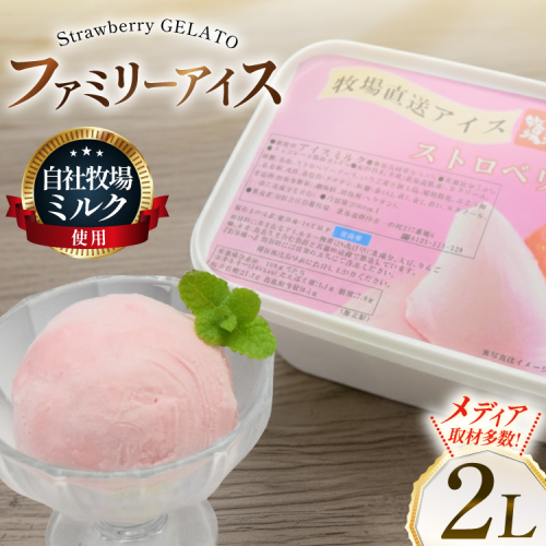 テレビで紹介！ アイス ジェラート ストロベリー 2L ファミリーサイズ ジャンボサイズ [岩瀬牧場 北海道 砂川市 12260964] 冷凍 アイスクリーム 詰め合わせ スイーツ 2522485 - 北海道砂川市