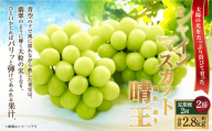 [HS]【2回定期便】シャインマスカット 晴王 2房 約1.4kg【2026年9月上旬～10月下旬発送予定】マスカット 葡萄 ぶどう ブドウ フルーツ 果物 くだもの デザート 冷蔵 岡山県 倉敷市