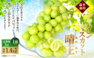 [HS]【2回定期便】温室 シャインマスカット 晴王 1房 約700g【2026年7月上旬～8月下旬発送予定】マスカット 葡萄 ぶどう ブドウ フルーツ 果物 くだもの デザート 冷蔵 岡山県 倉敷市