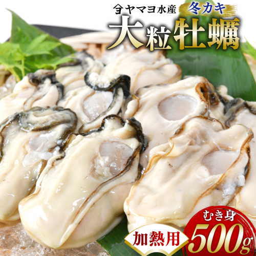 【期間限定発送】 ヤマヨ水産の牡蠣 加熱用 500g 《1月前半〜出荷》 [気仙沼市物産振興協会 宮城県 気仙沼市 20565984] 牡蠣 かき 魚介類 海鮮 冬 冬牡蠣 冬かき 期間限定 冷蔵 加熱 2522812 - 宮城県気仙沼市