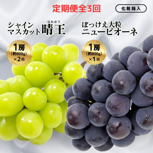 ＜定期便全3回＞シャインマスカット晴王1房800g 2回とぼっけぇピオーネ1房800g 1回の計3回コース [040-a013] 2522815 - 岡山県鏡野町