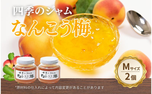 なんこう梅（M）2個セット ジャム 手作り セット 梅 朝食 軽食 上田市 2523009 - 長野県上田市