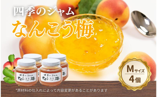 なんこう梅（M）4個セット ジャム 手作り セット 梅 朝食 軽食 上田市 2523010 - 長野県上田市